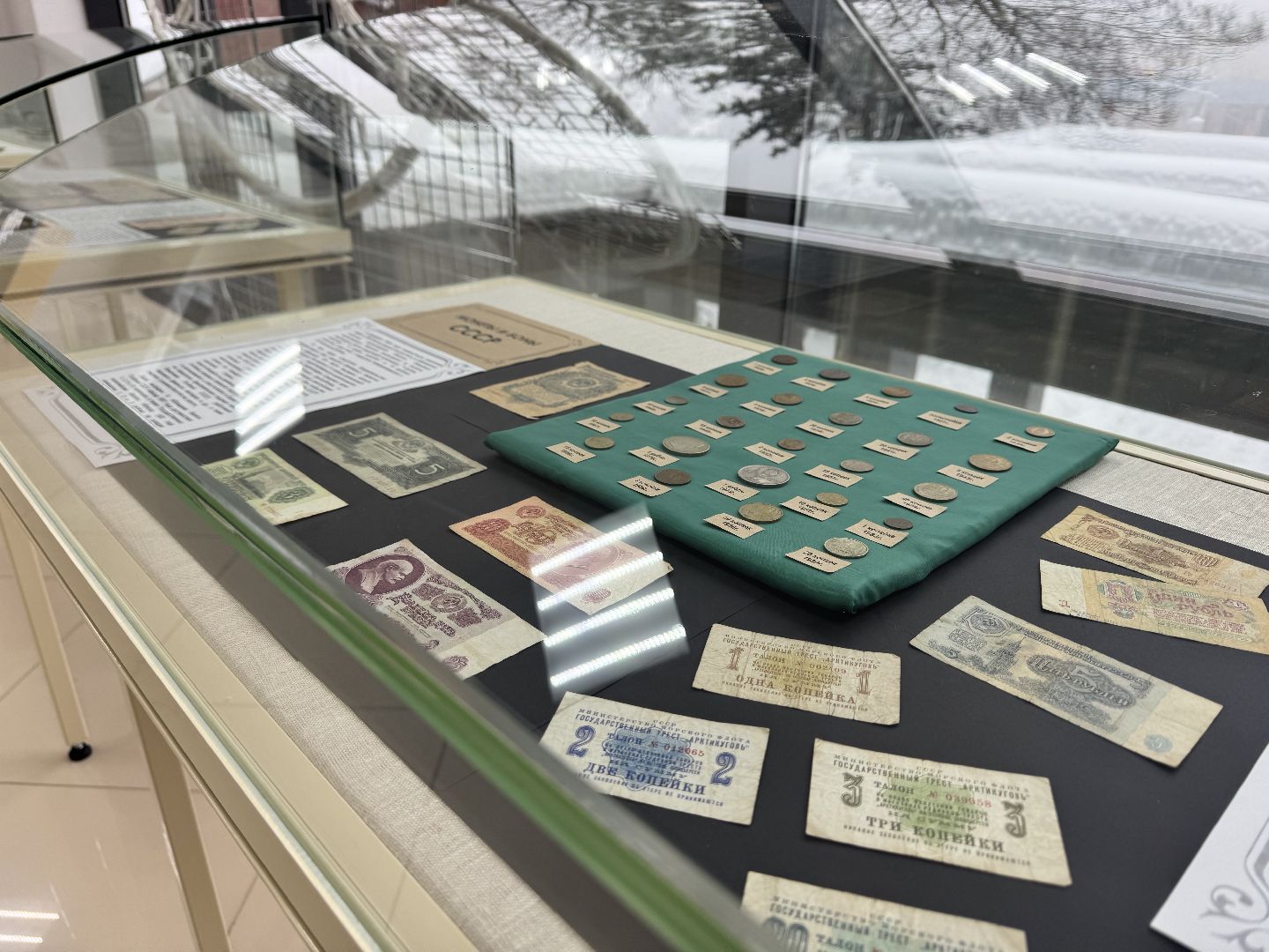 шаховская, новая выставка, музей, нумизматика,