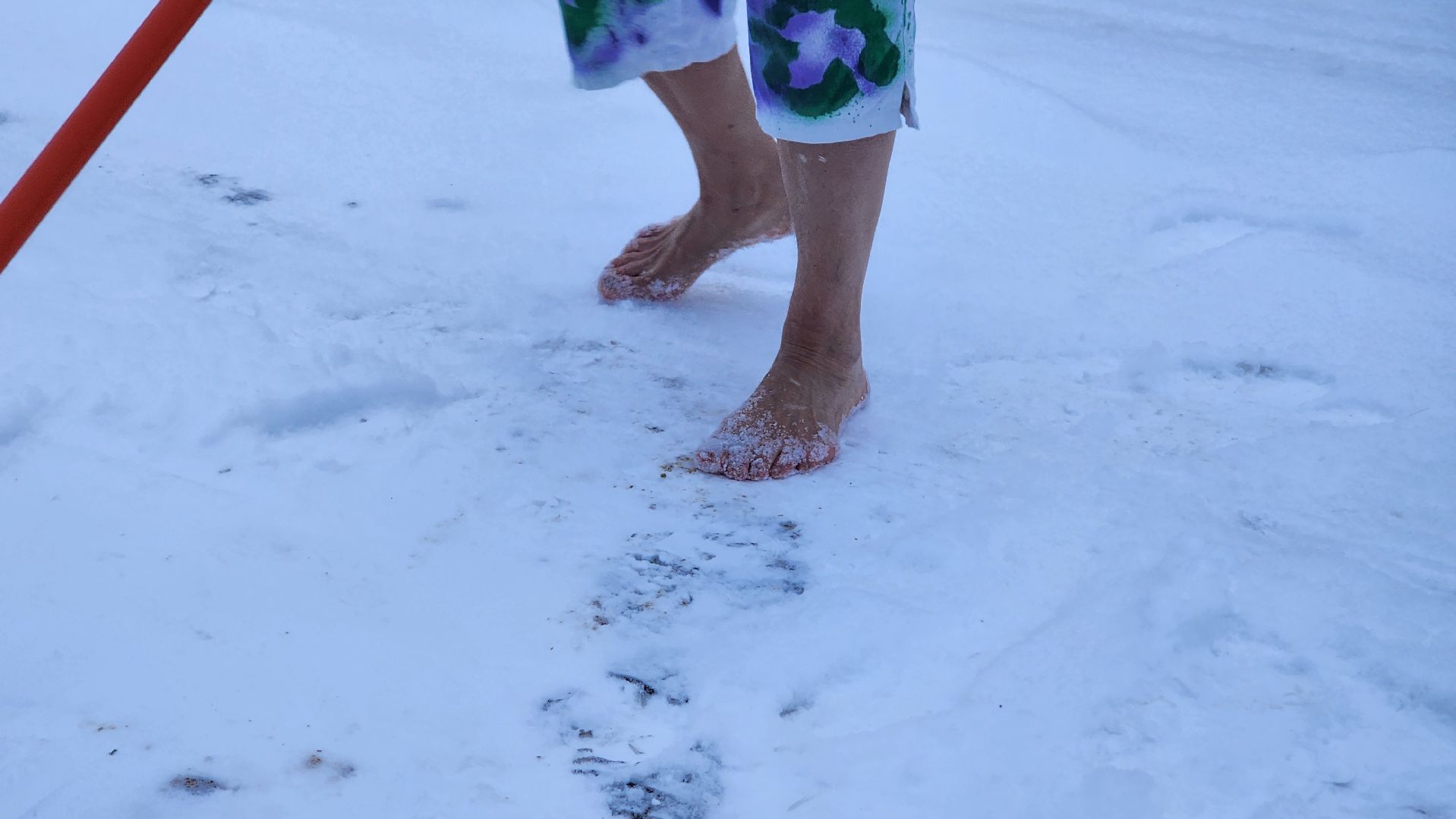 Солнечногорск, вертикалки, секреты злоровья, закаливание, общество,