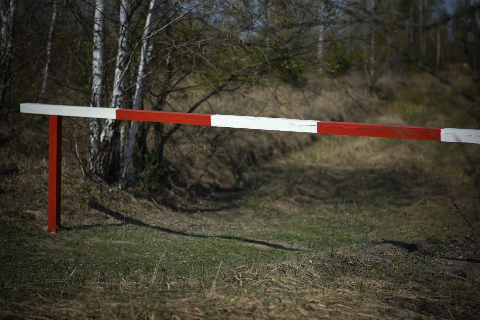 Луховицы Лесничество