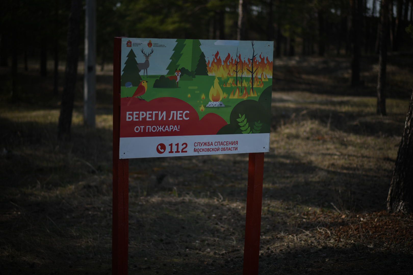 Луховицы Лесничество