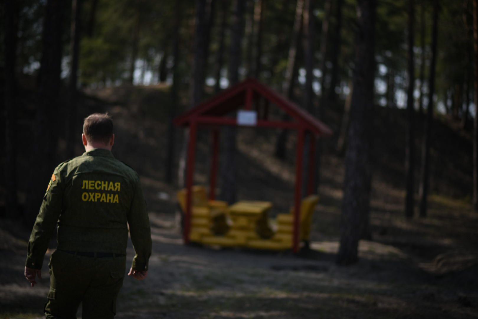 Луховицы Лесничество