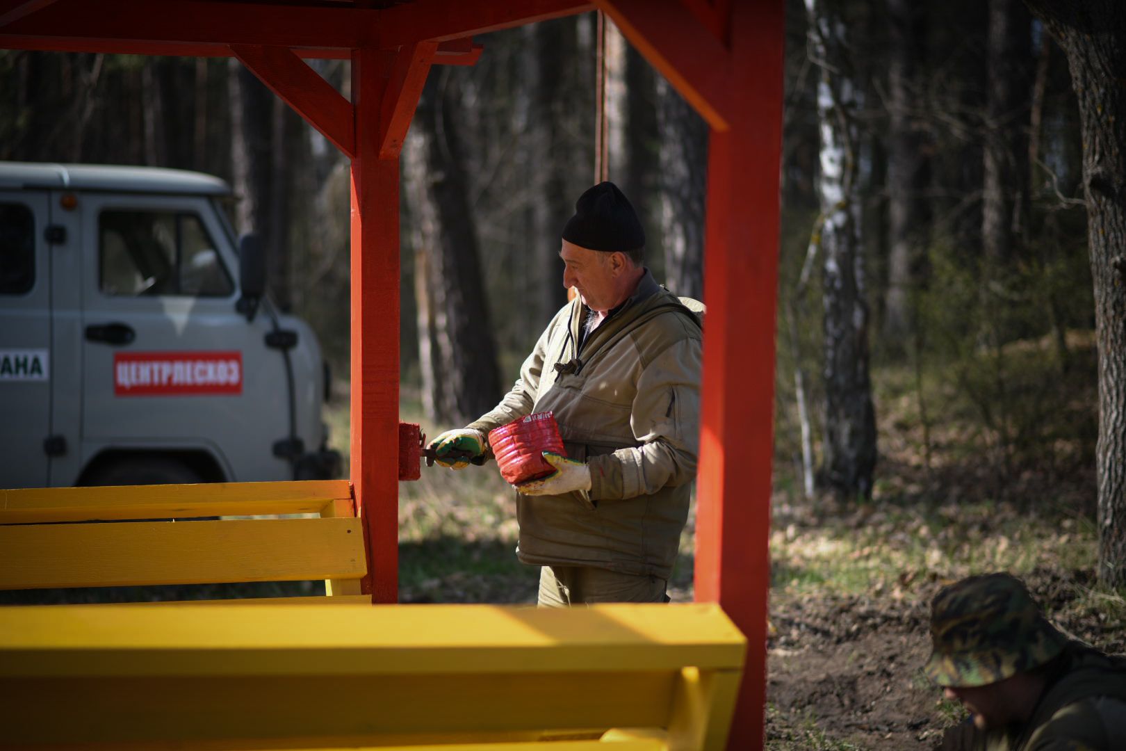 Луховицы Лесничество