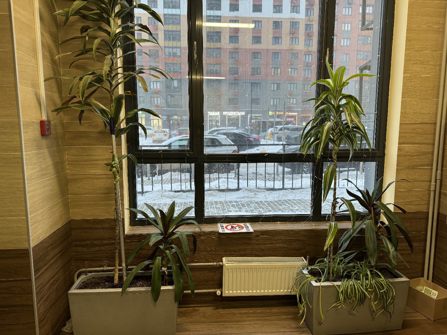 Победитель конкурса, Лучший председатель совета многоквартирного дома Московской области, 6-ой региональный конкурс, Житель Ленинского округа, Поселок Битца,