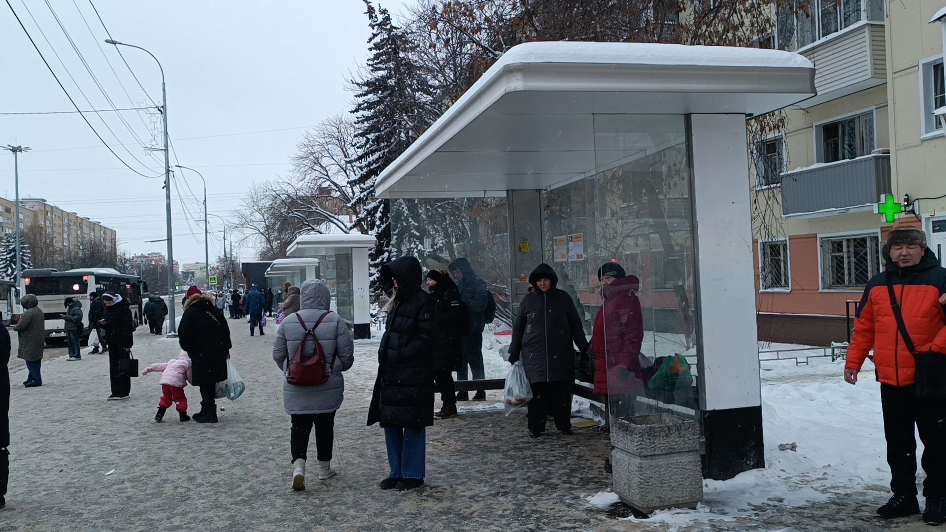 транспорт, новый автобус, лобня, вертикалки,