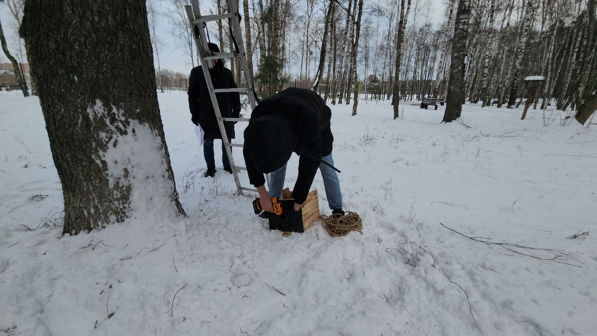 проект беличья тропа, люберцы, малаховское озеро, парки, белки,