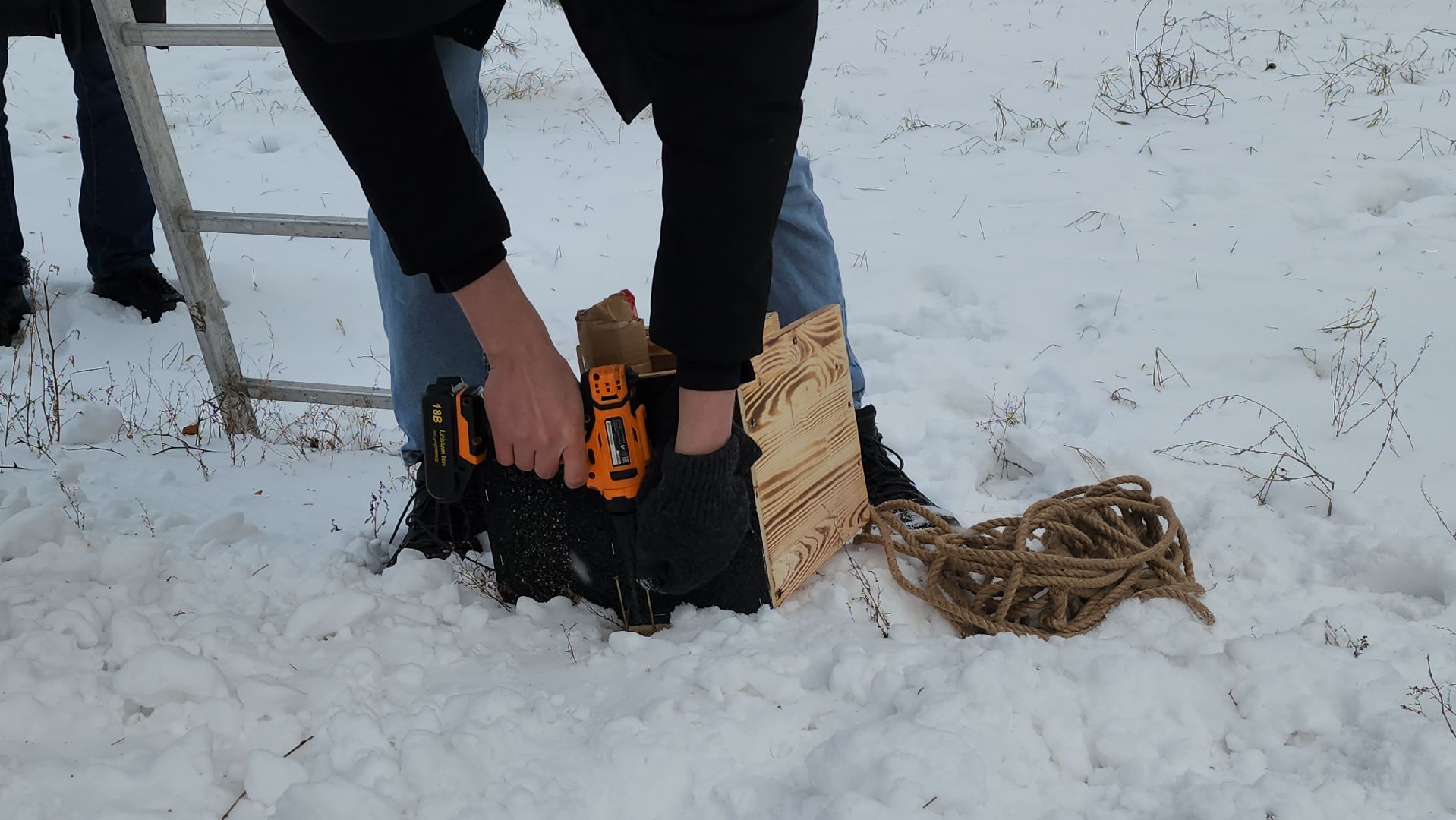 проект беличья тропа, люберцы, малаховское озеро, парки, белки,