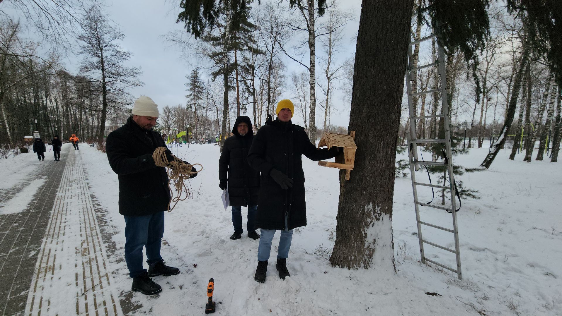 проект беличья тропа, люберцы, малаховское озеро, парки, белки,