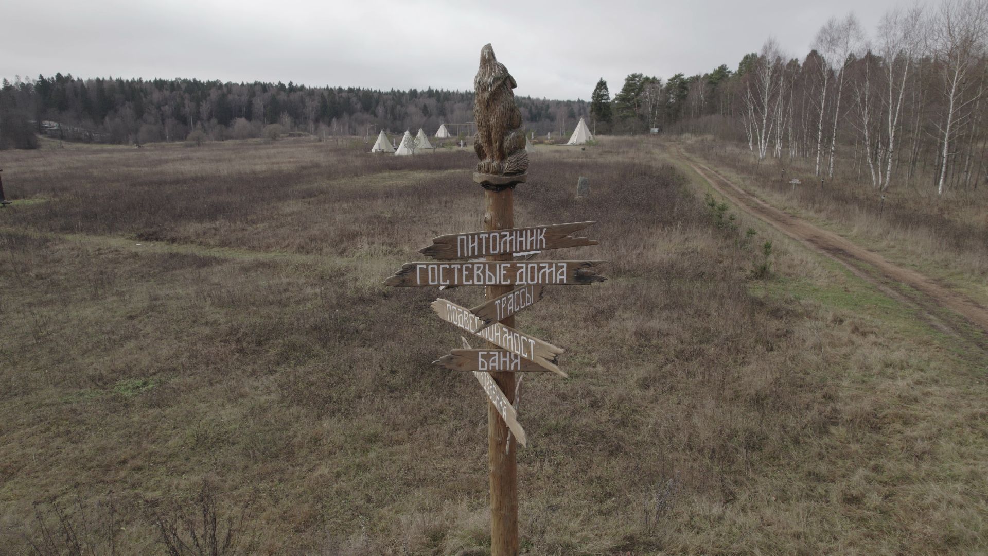 видео с коптера, руза, питомник,