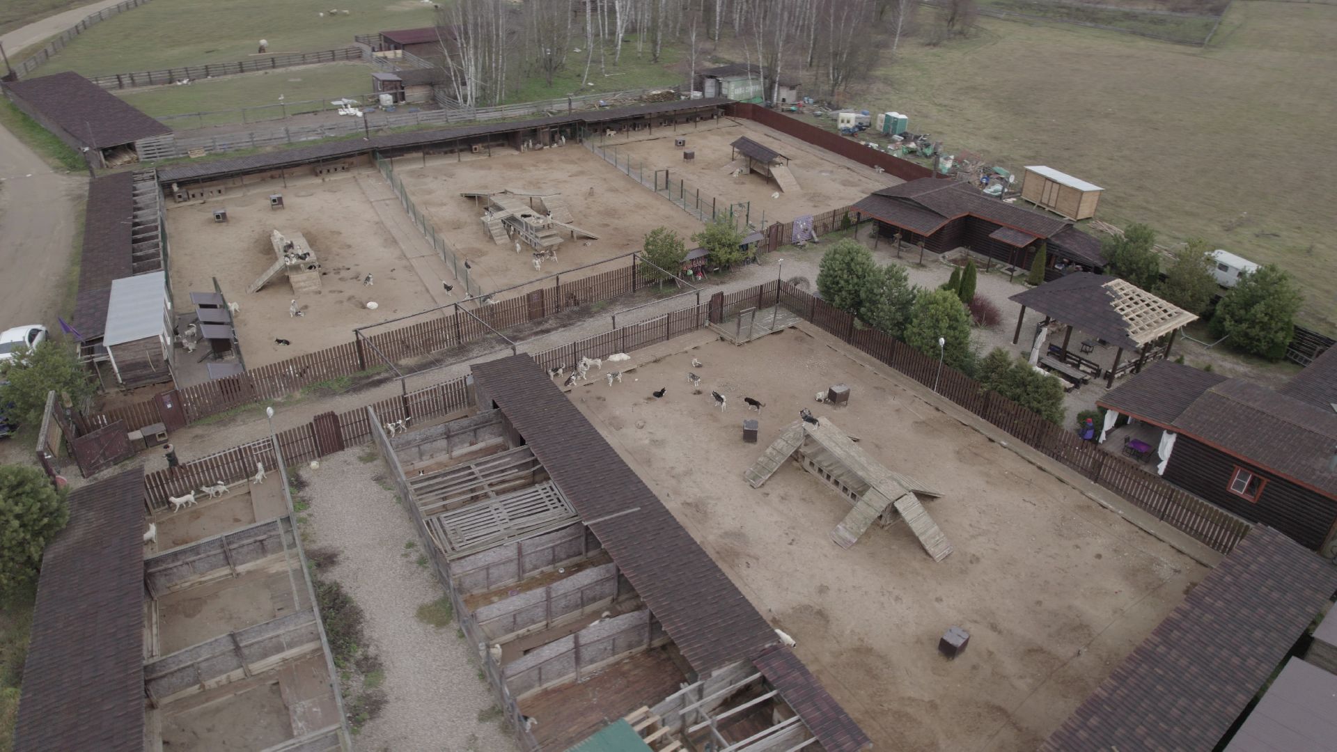 видео с коптера, руза, питомник,