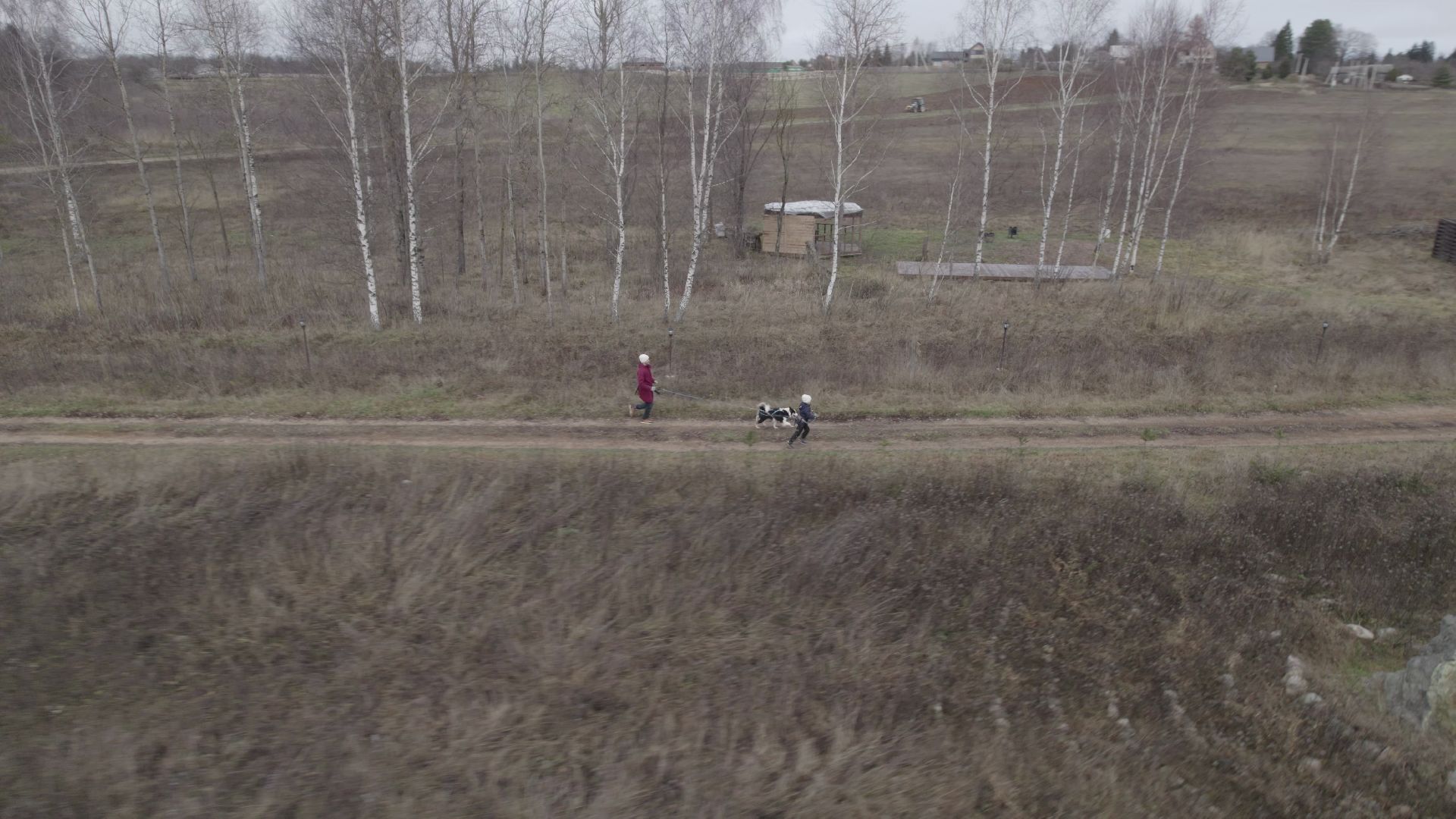 видео с коптера, руза, питомник,