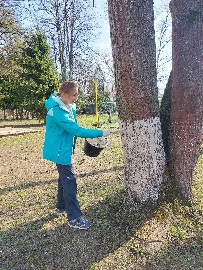 Пушкино, Правдинский, Пушкинский округ, дети, помощь, волонтеры, благоустройство