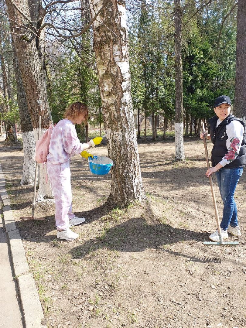 Пушкино, Правдинский, Пушкинский округ, дети, помощь, волонтеры, благоустройство