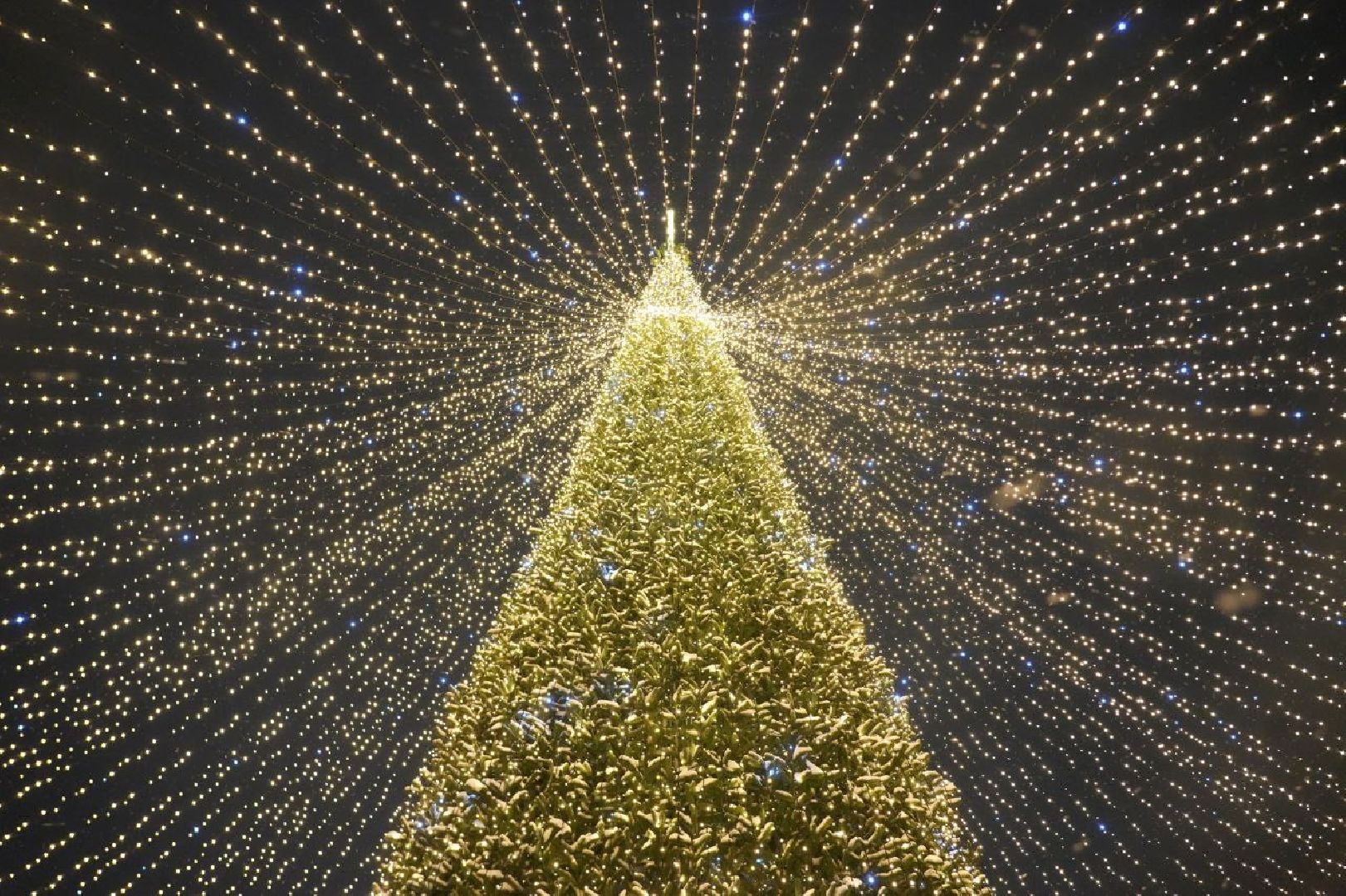 Новый год, Зима в Подмосковье, Сергиев Посад, Праздник, Елка, Сергиево-Посадский городской округ, вертикалки,