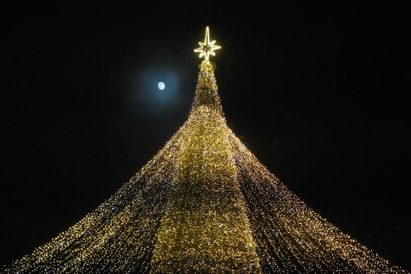 Новый год, Зима в Подмосковье, Сергиев Посад, Праздник, Елка, Сергиево-Посадский городской округ, вертикалки,
