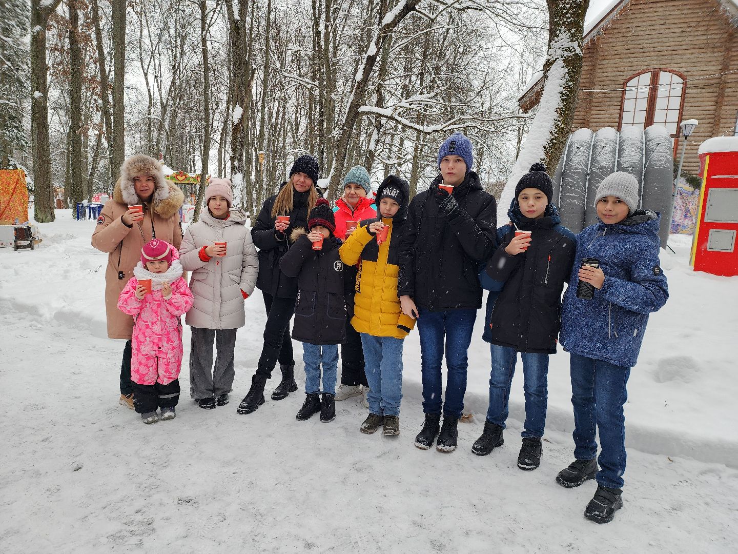 День чая, парк городок, зима в подмосковье, руза, зима в рузе, зима в парке, московская область, зима в подмосковье,