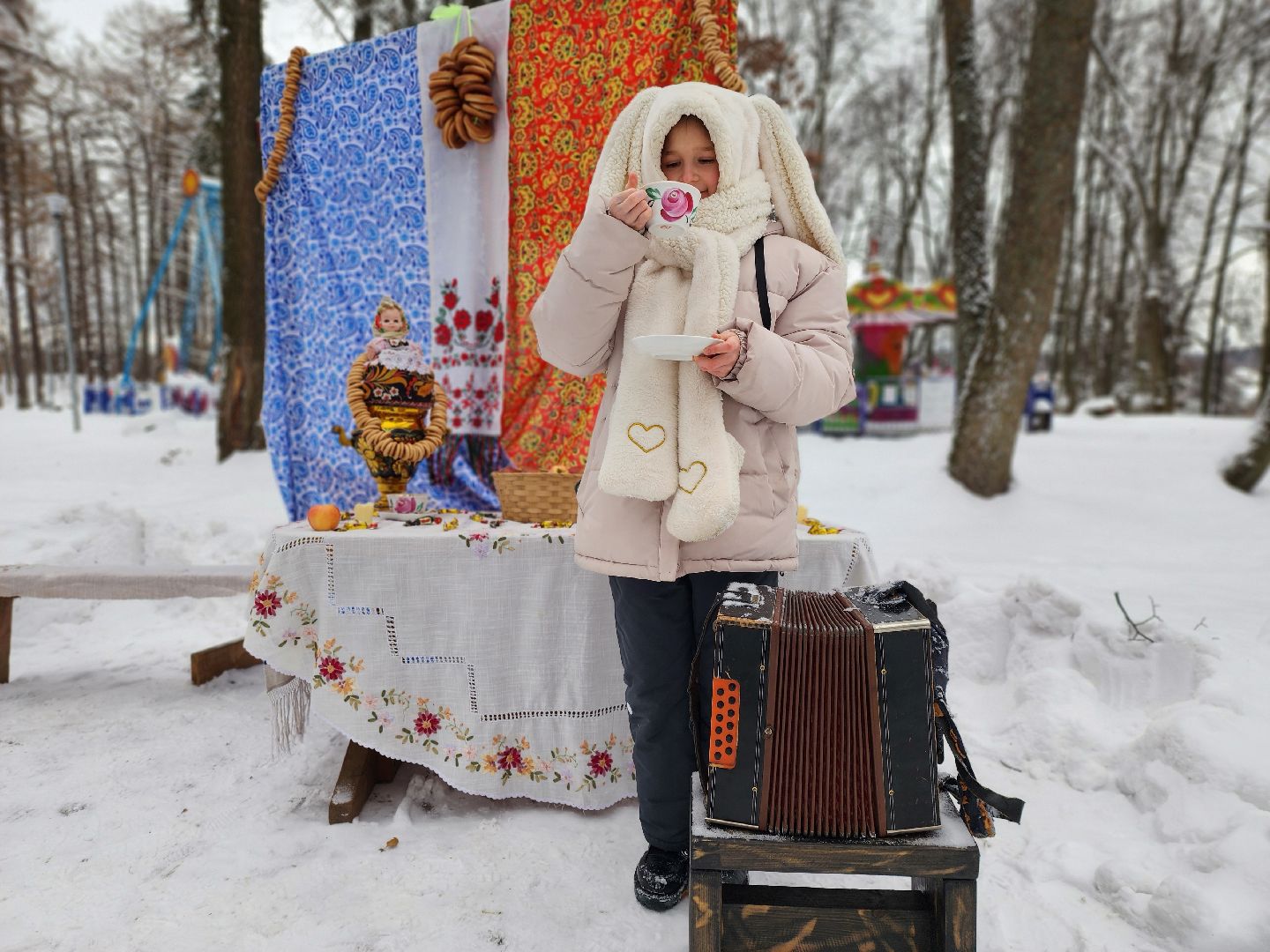 День чая, парк городок, зима в подмосковье, руза, зима в рузе, зима в парке, московская область, зима в подмосковье,