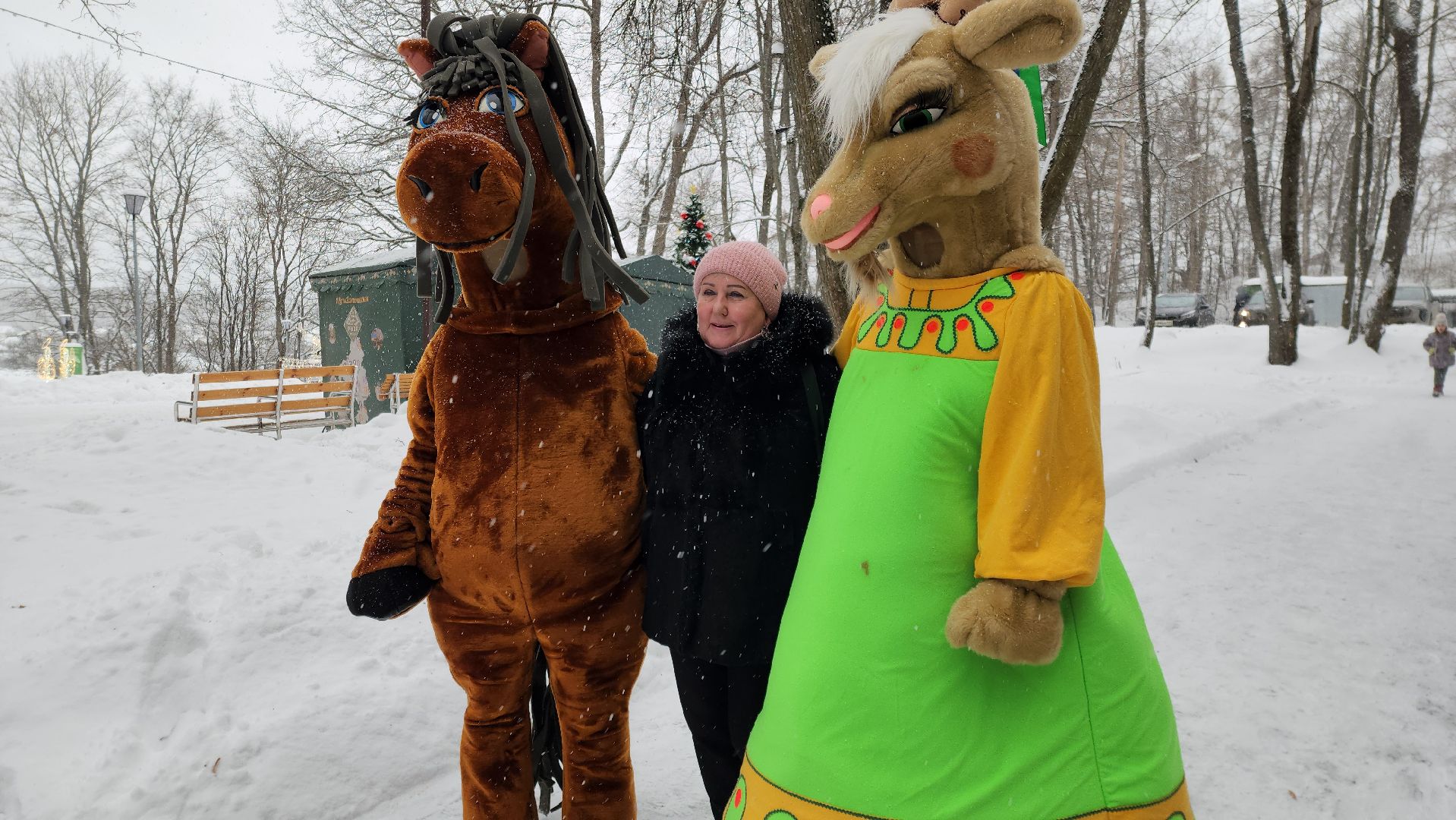 День чая, парк городок, зима в подмосковье, руза, зима в рузе, зима в парке, московская область, зима в подмосковье,