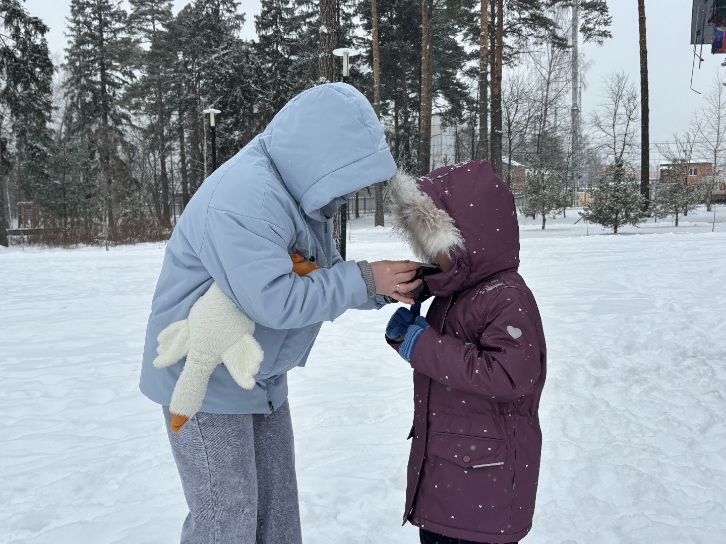 парки балашихи, чай с баранками, акция, вертикалки,