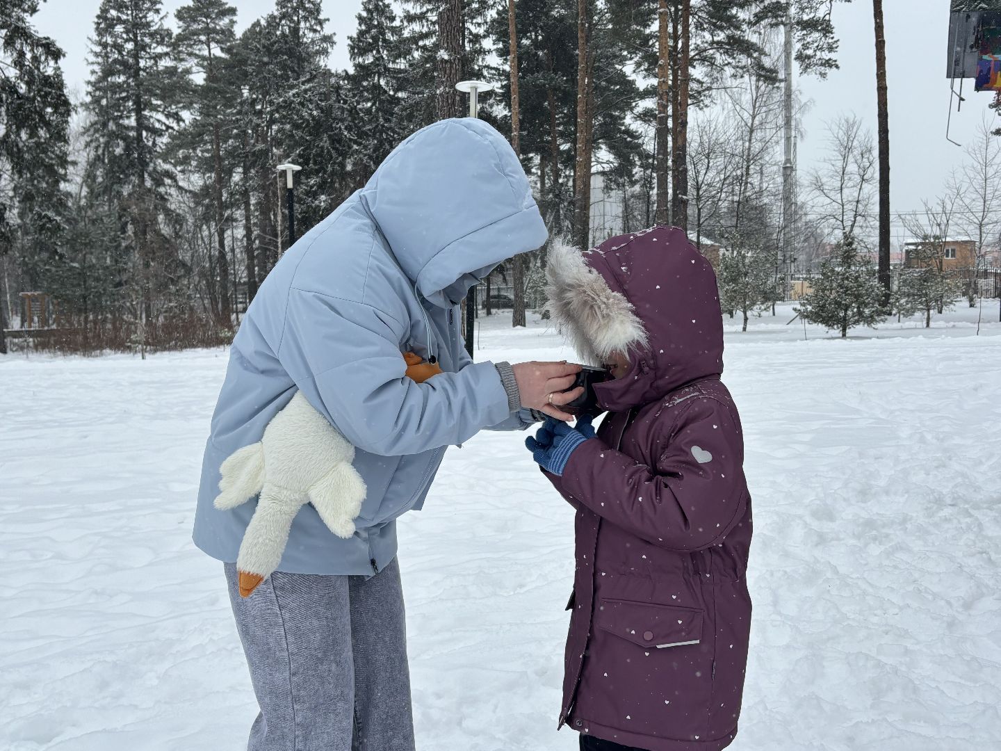 парки балашихи, чай с баранками, акция, вертикалки,