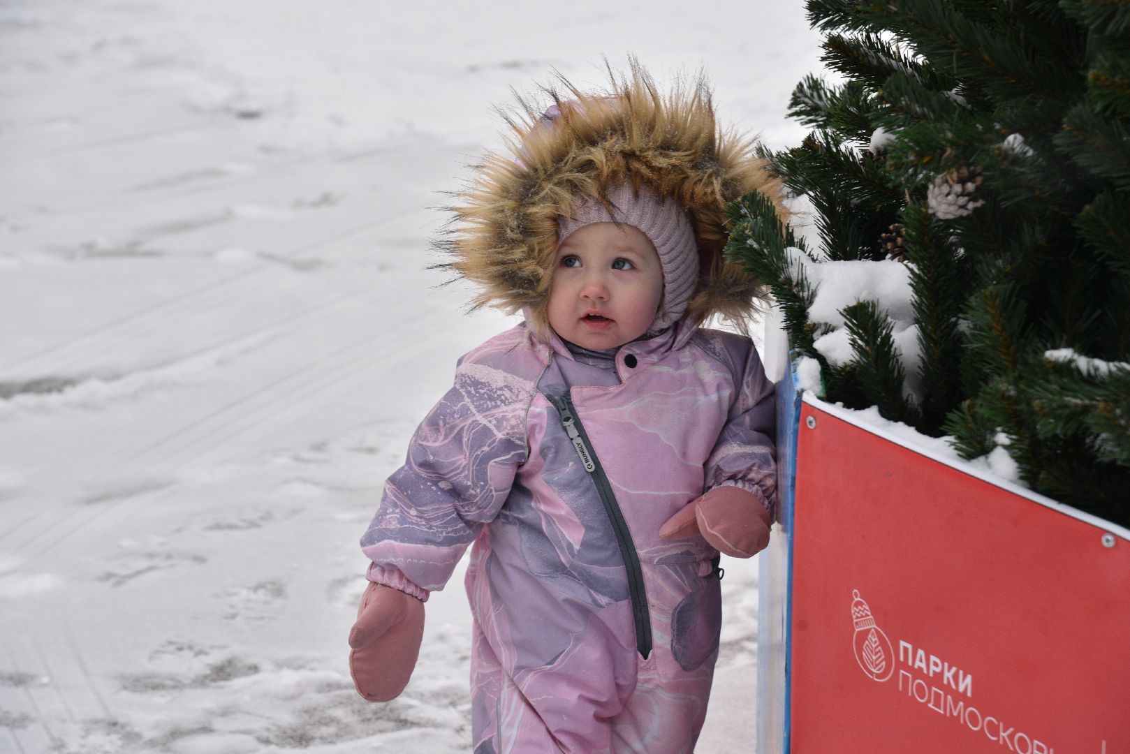 лотошино, лотошинский парк, парки подмосковья, новый год, дети, дед мороз,