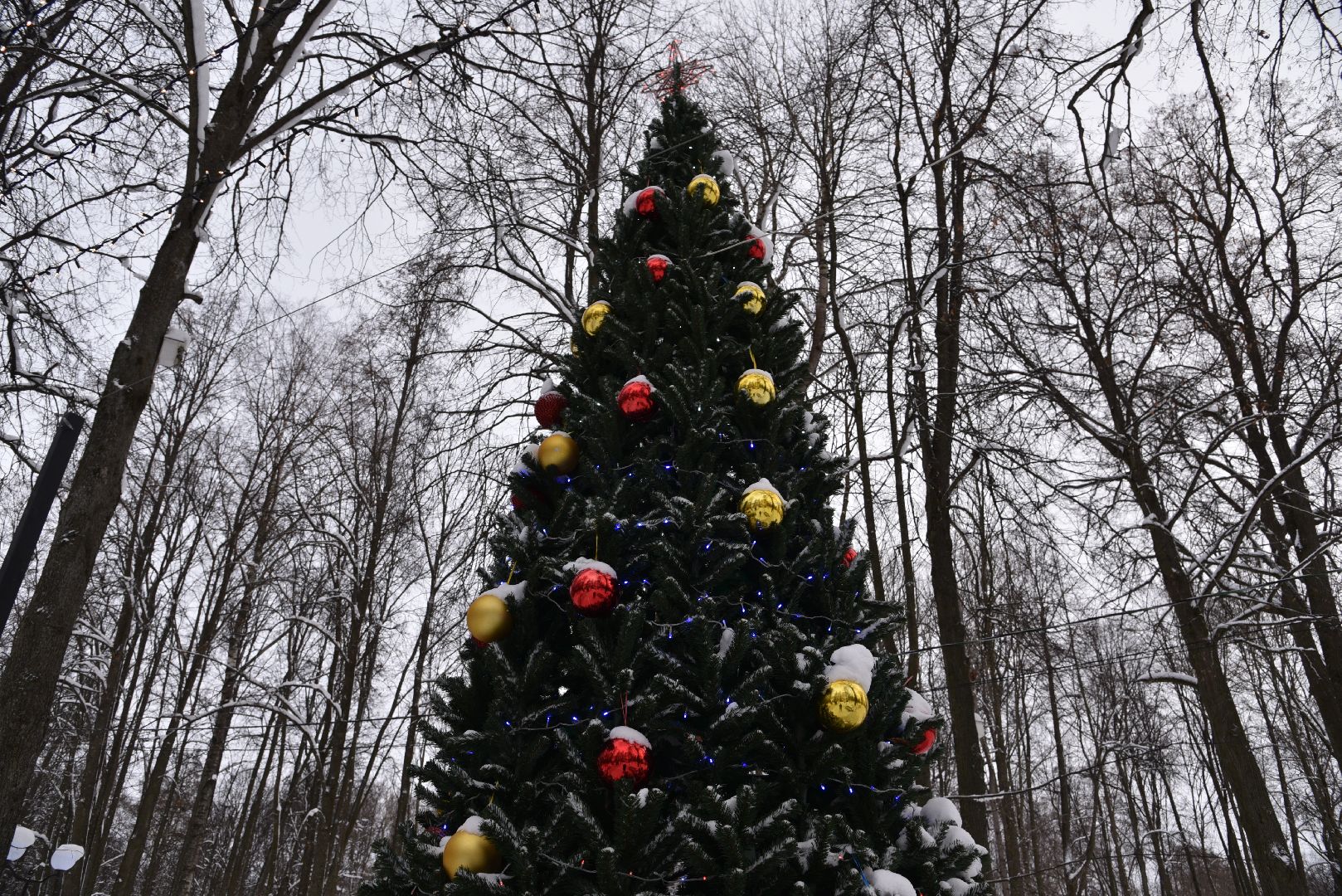 лотошино, лотошинский парк, парки подмосковья, новый год, дети, дед мороз,