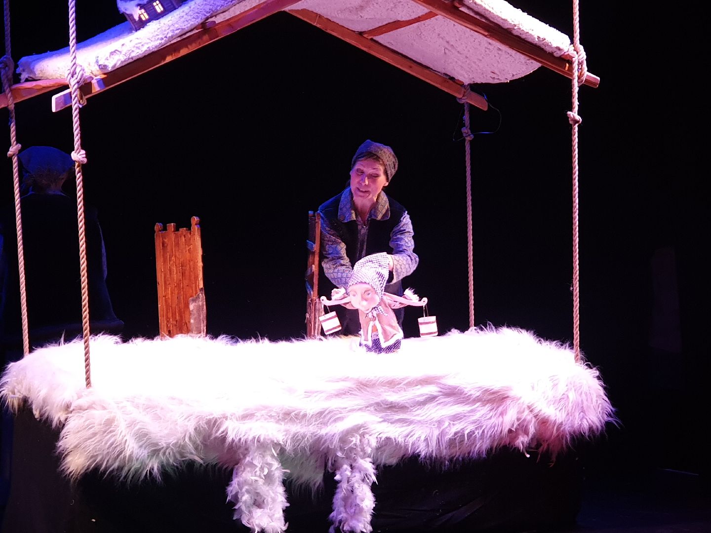 вертикалки, мытищи, ёлка, общественная палата мо,