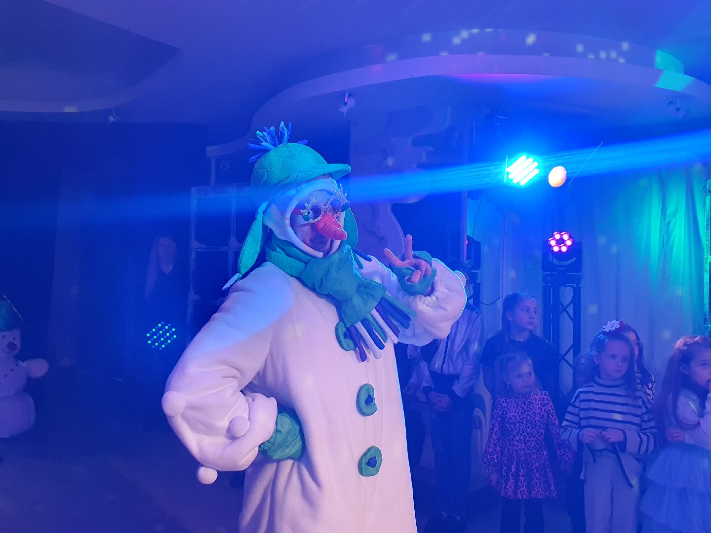 вертикалки, мытищи, ёлка, общественная палата мо,