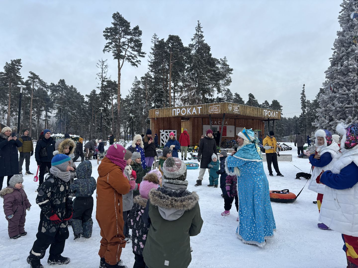 интерактивная игра, дети, танцы, танцы в парке,