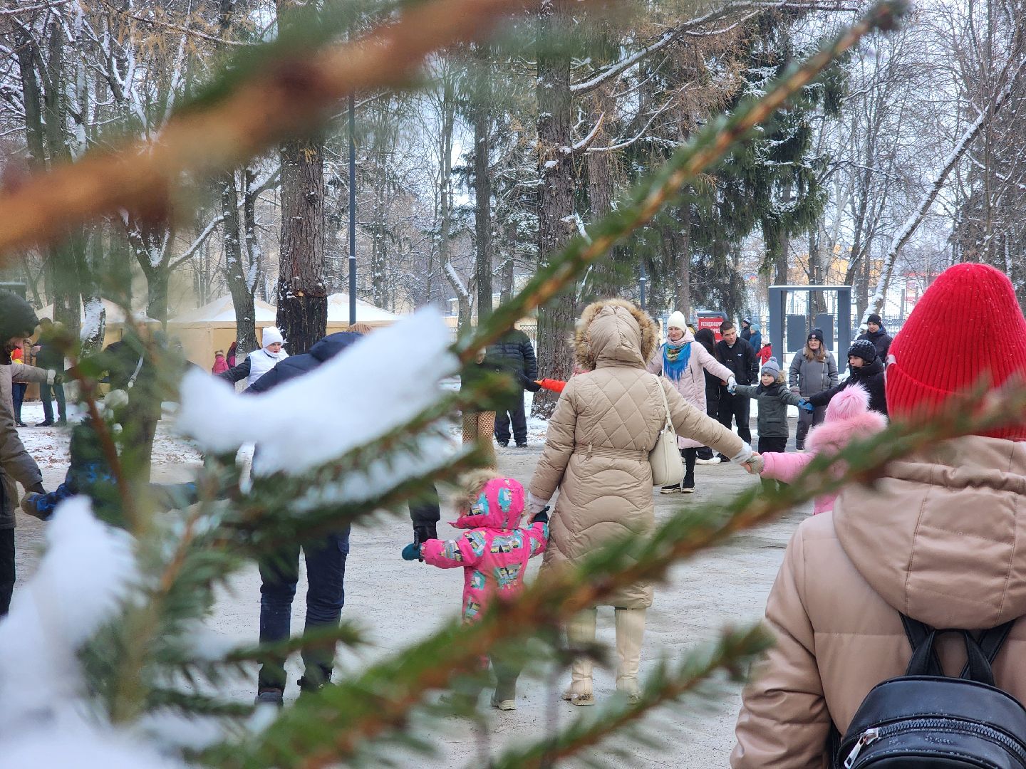 коломна, парки баранки, международный день чая, зима в подмосковье, вертикалка,