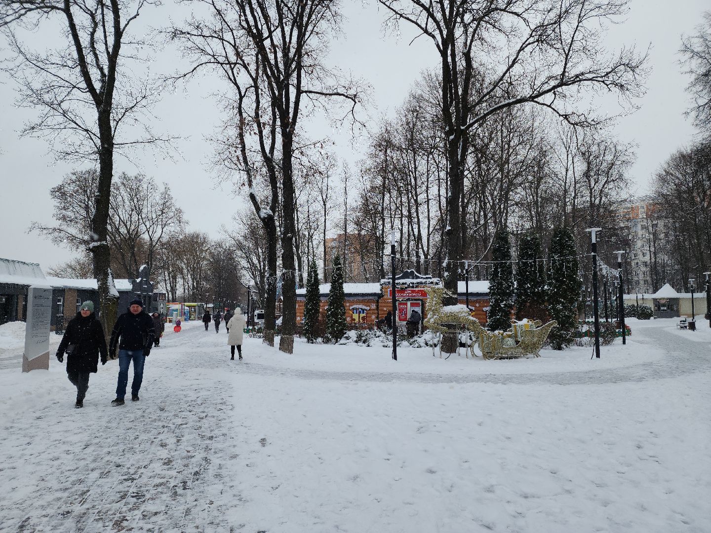 подольск, парк талалихина, зима в подмосковье, мастер-класс,
