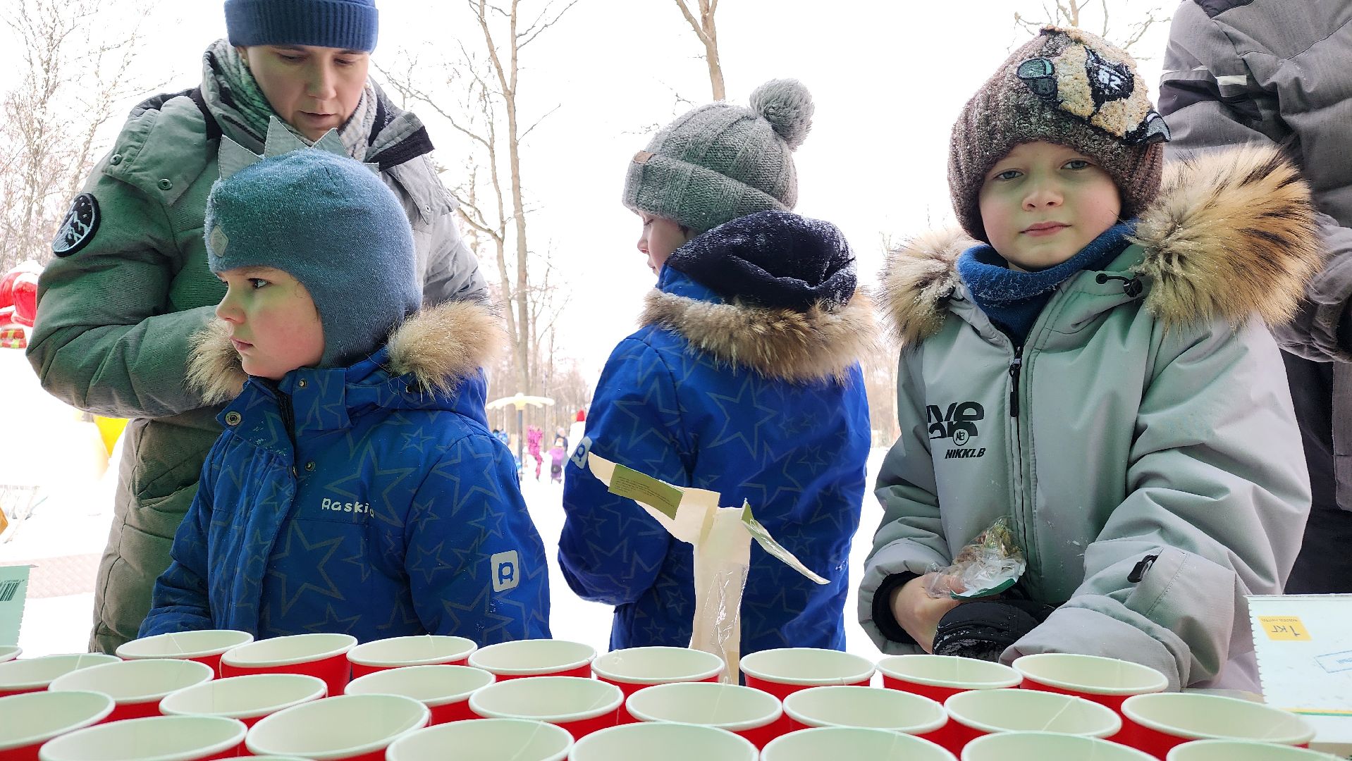 ступино, парки баранки, зима в Подмосковье,
