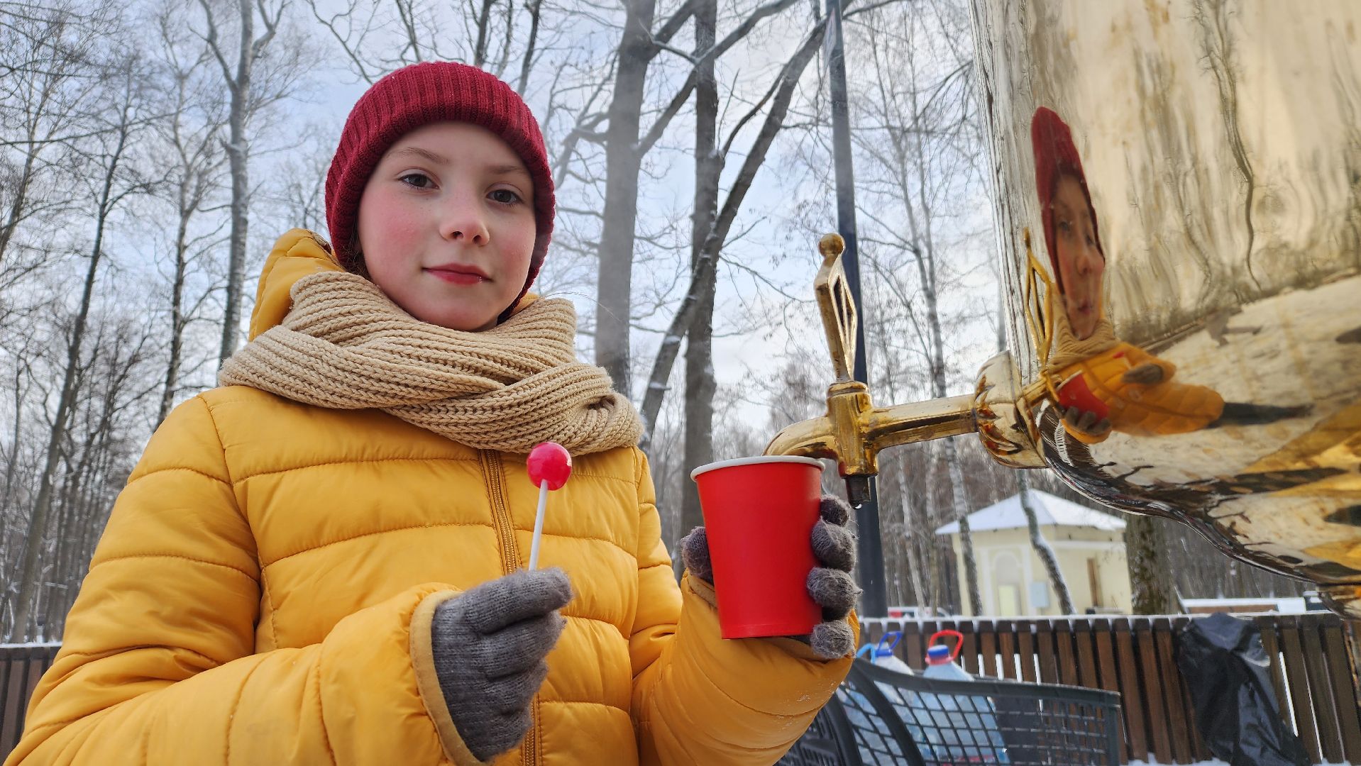 ступино, парки баранки, зима в Подмосковье,