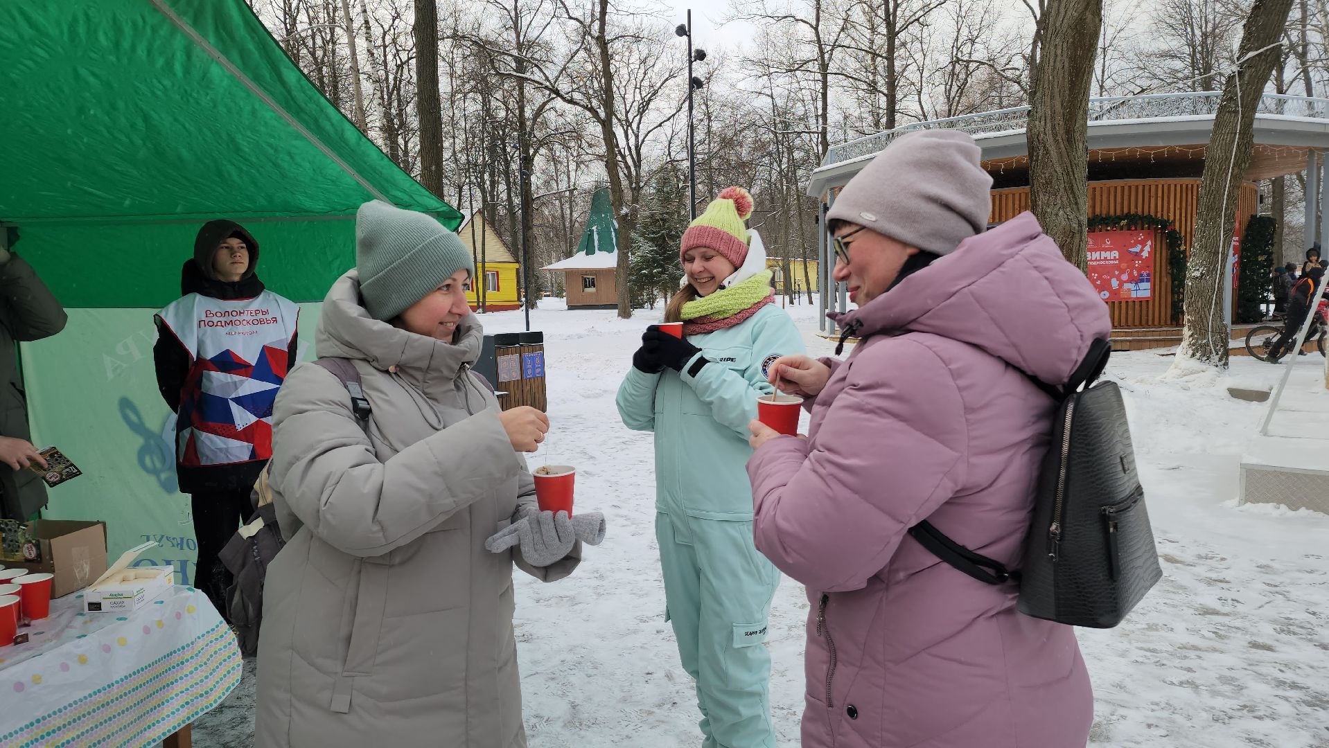 ступино, парки баранки, зима в Подмосковье,