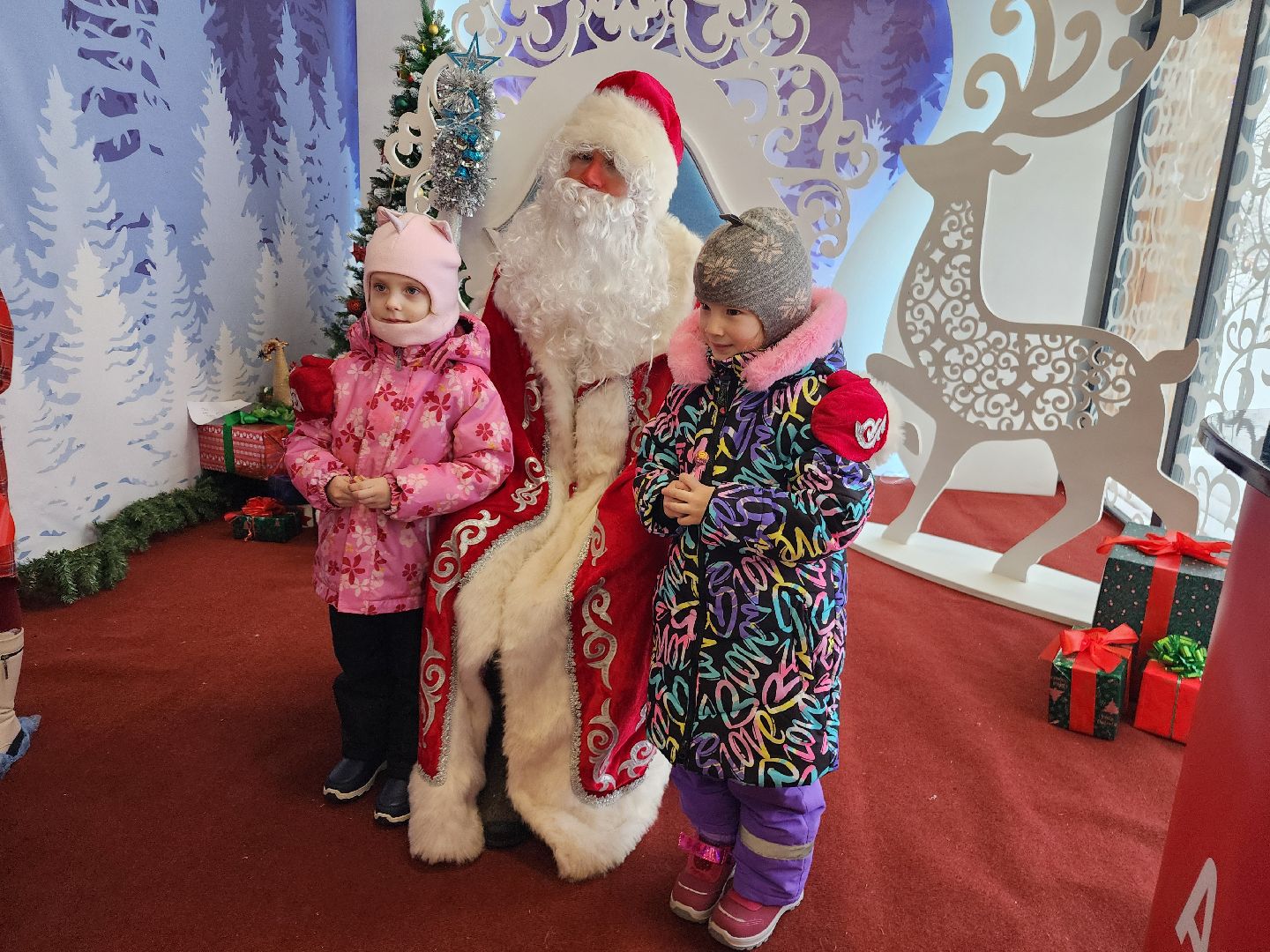 фрязино, резиденция деда мороза, почта деда мороза, лесопарк, письмо деду морозу, вертикалки,