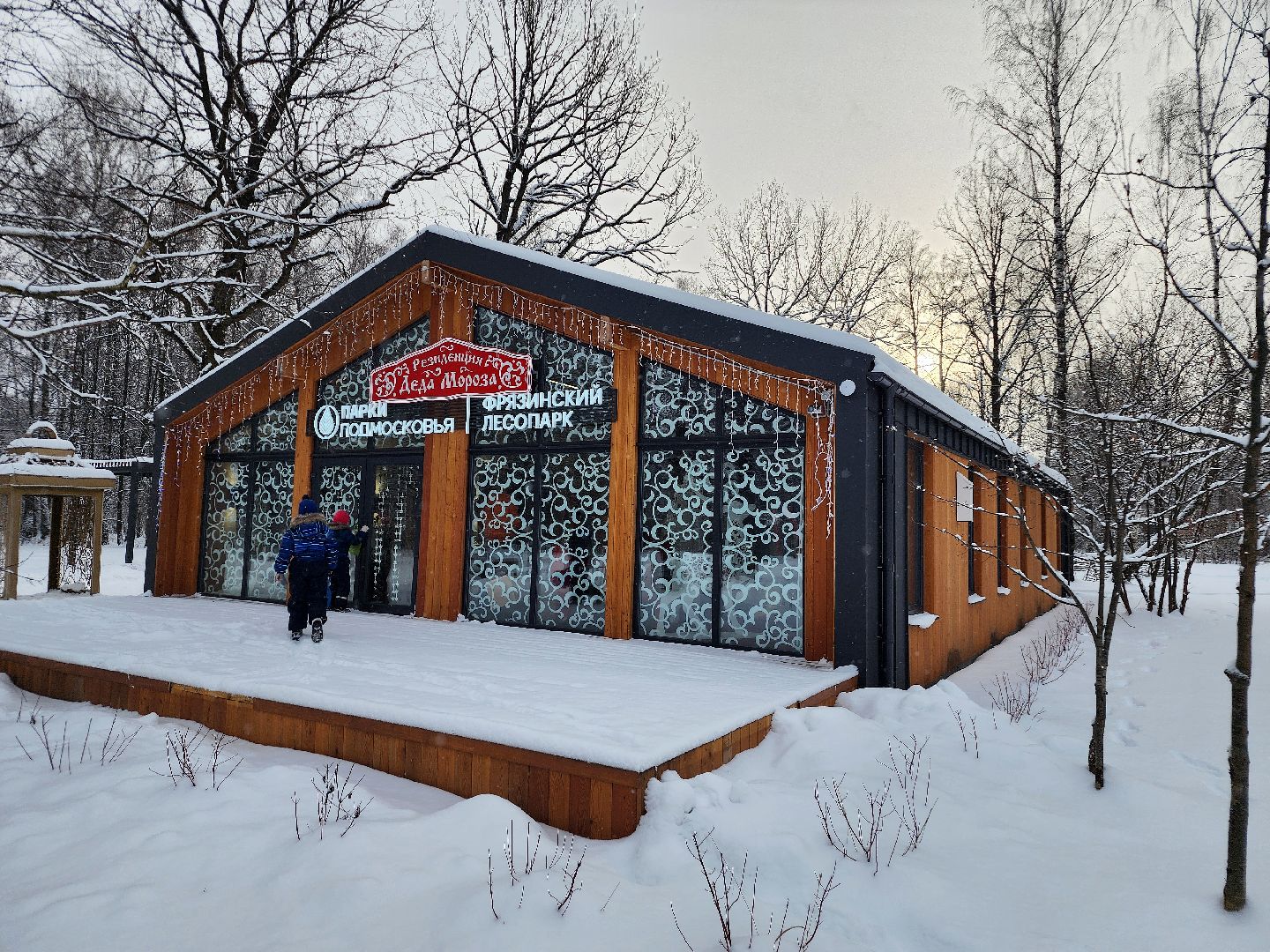 фрязино, резиденция деда мороза, почта деда мороза, лесопарк, письмо деду морозу, вертикалки,