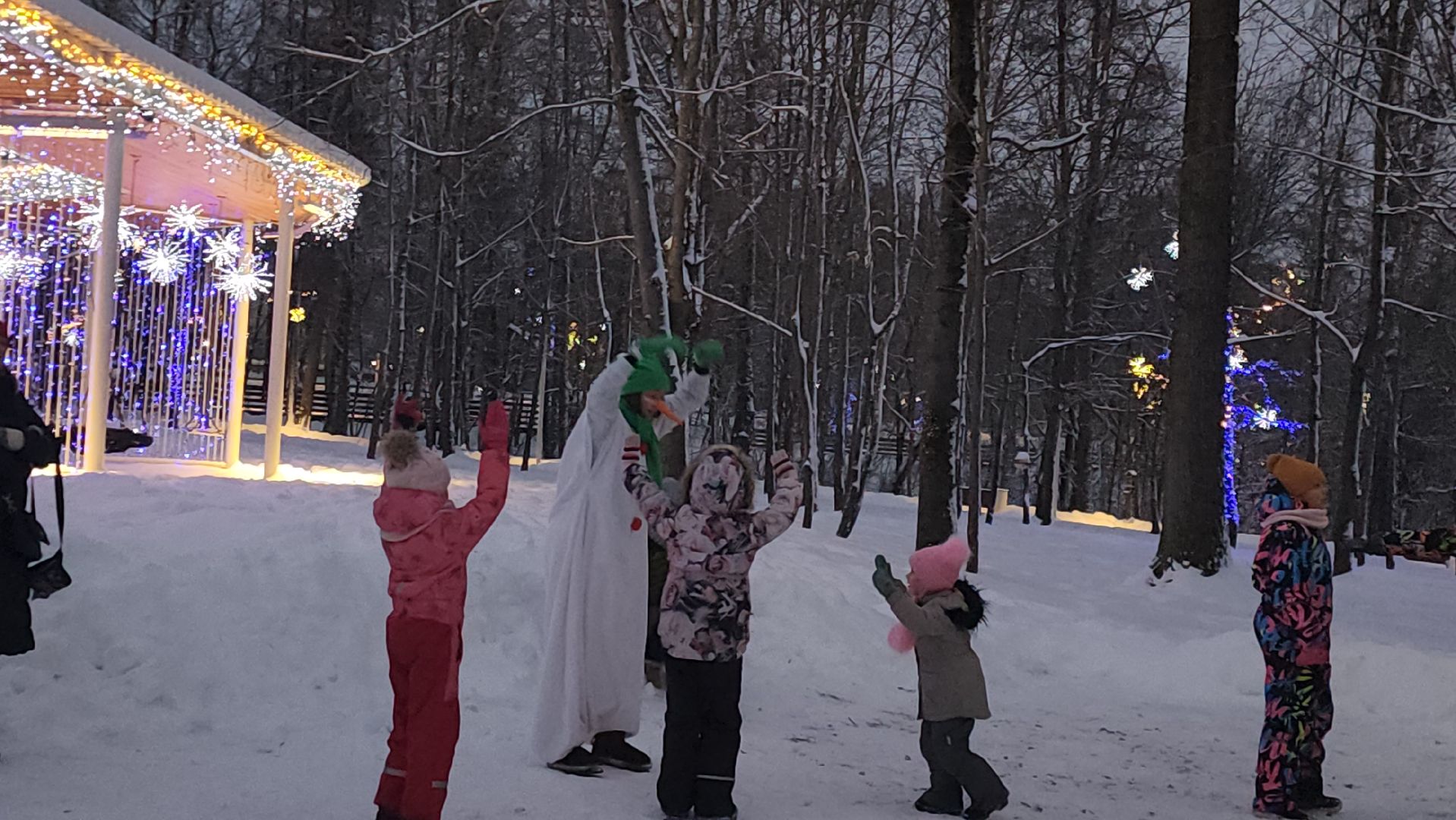 зима в подмосковье, Парк, вертикалки,