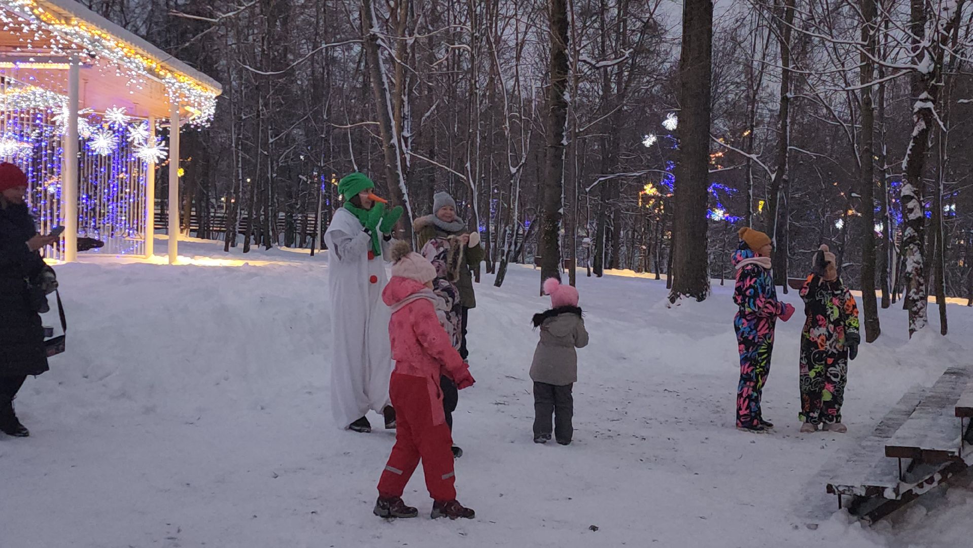 зима в подмосковье, Парк, вертикалки,