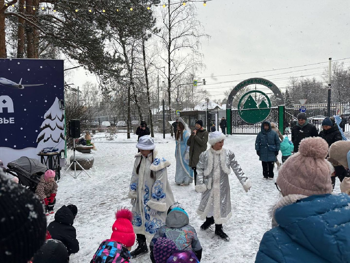 парки, парки домодедово, новый год,
