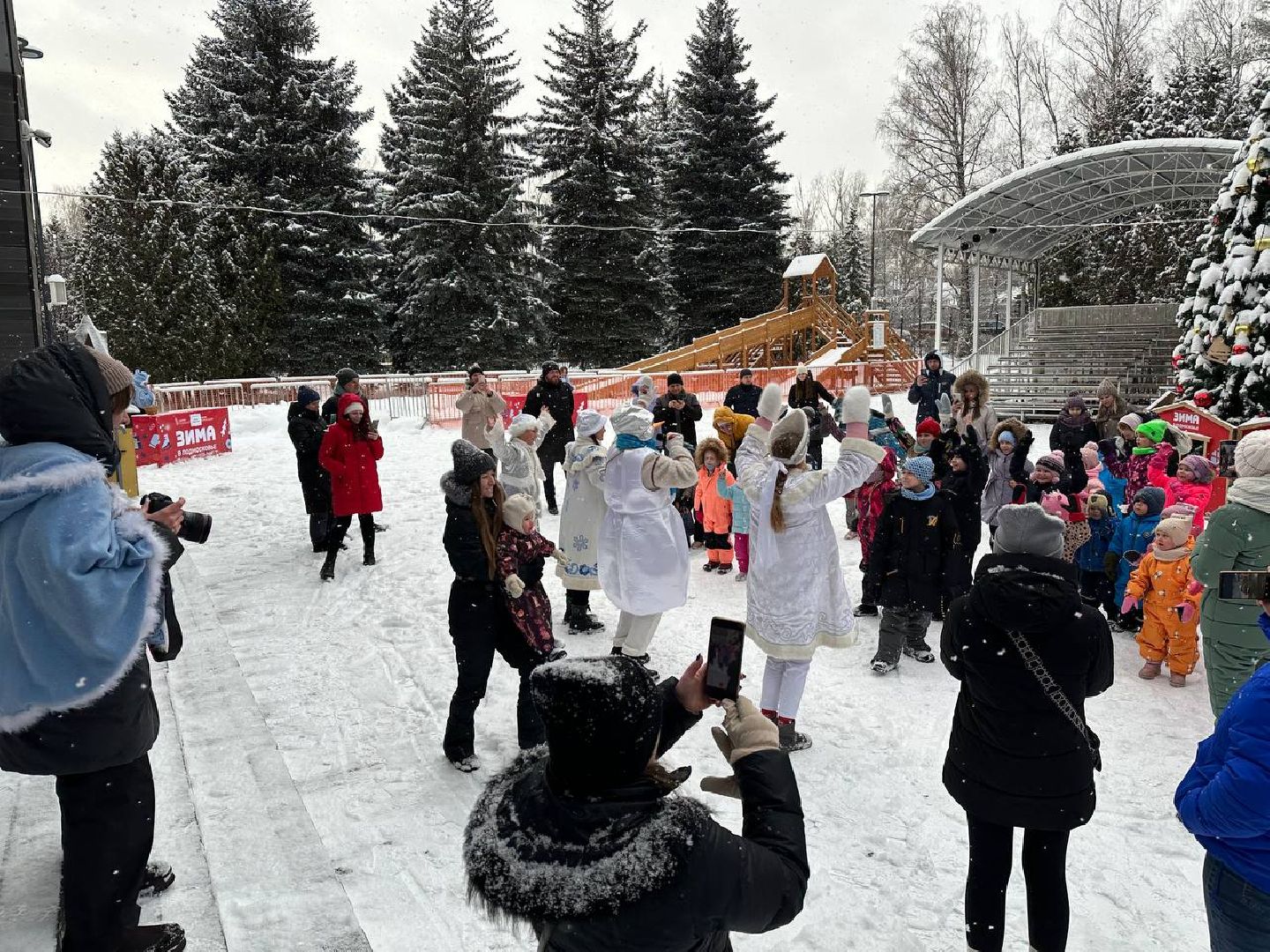 парки, парки домодедово, новый год,