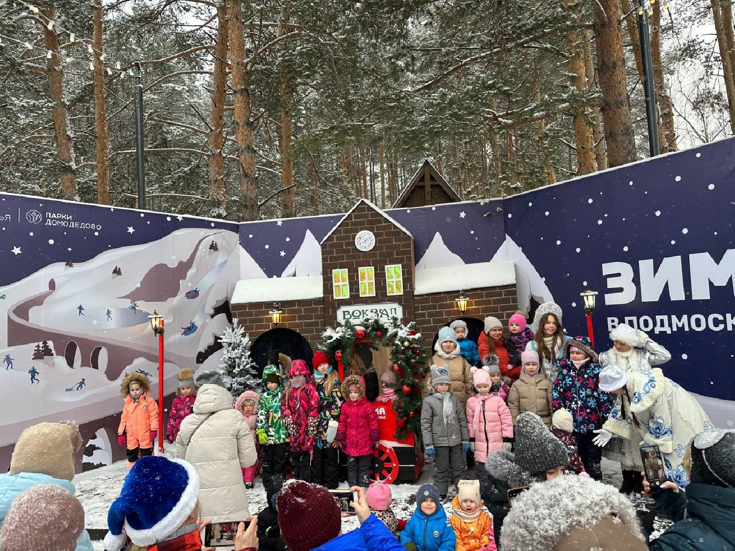 парки, парки домодедово, новый год,