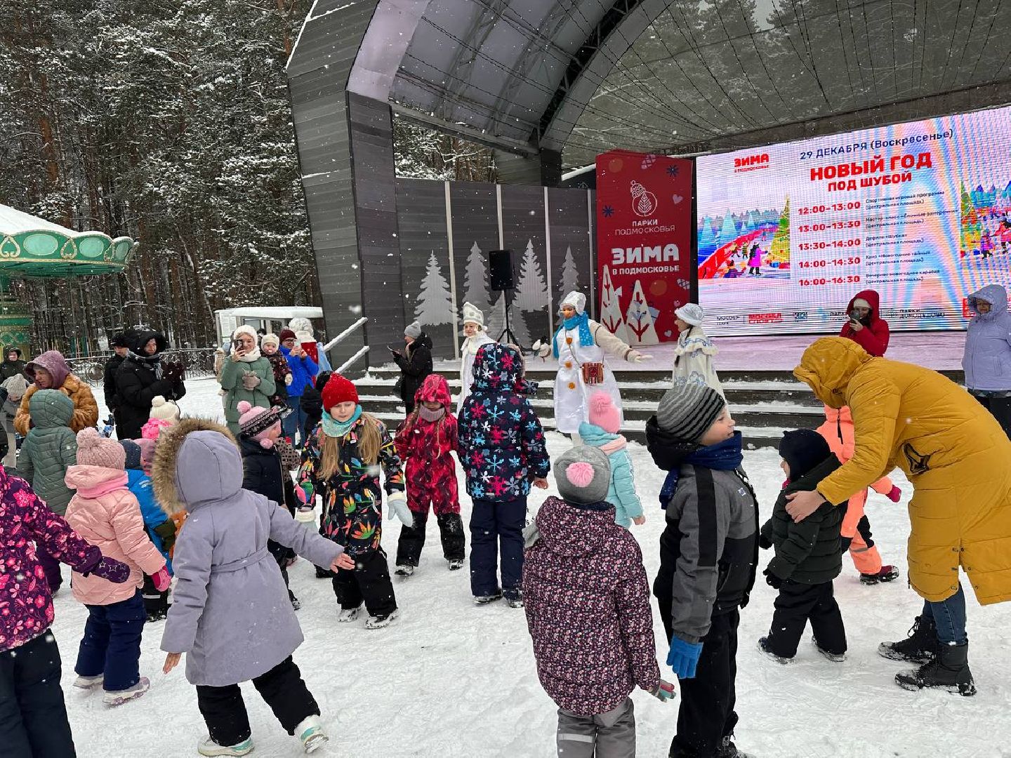 парки, парки домодедово, новый год,