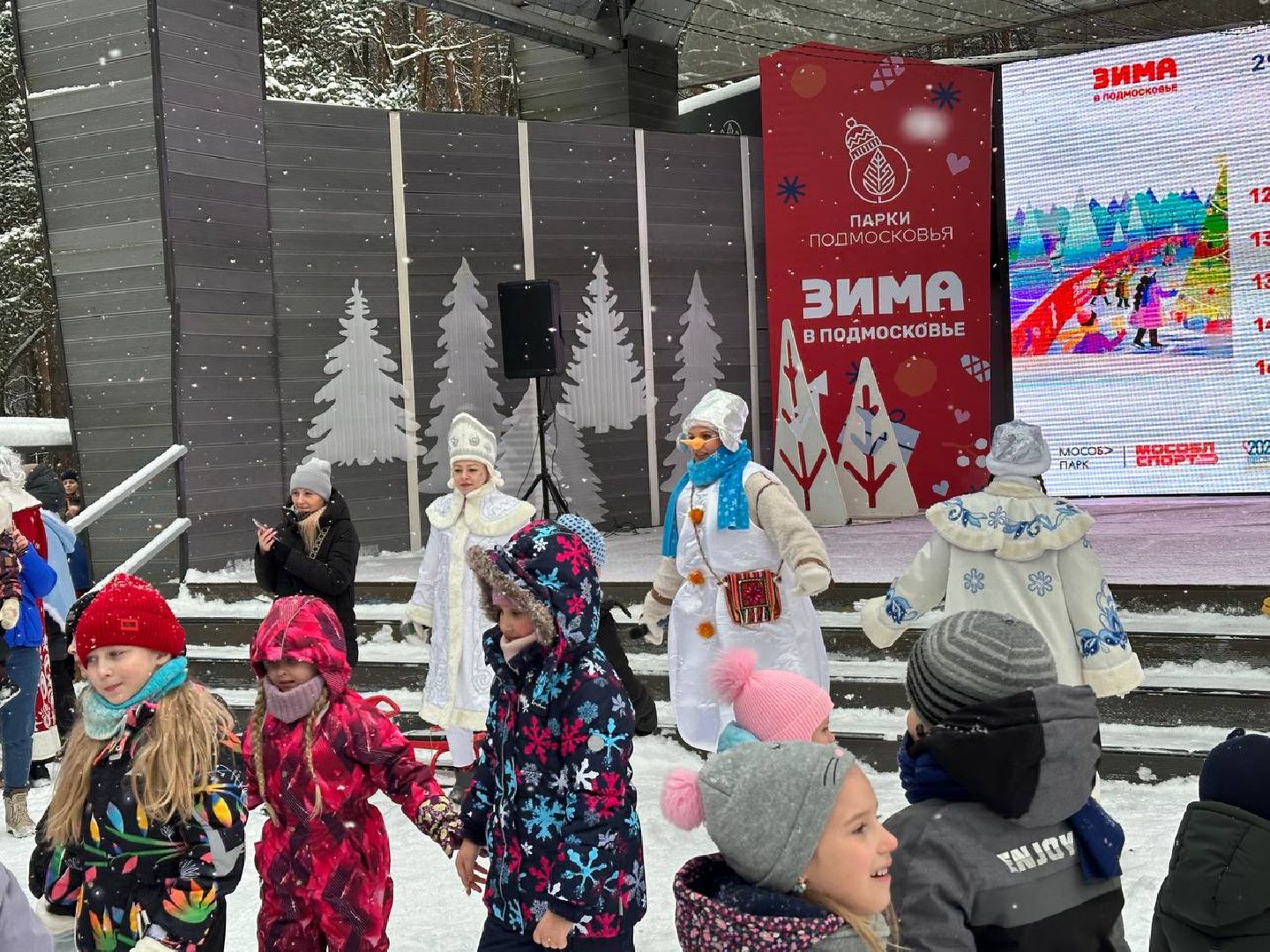 парки, парки домодедово, новый год,