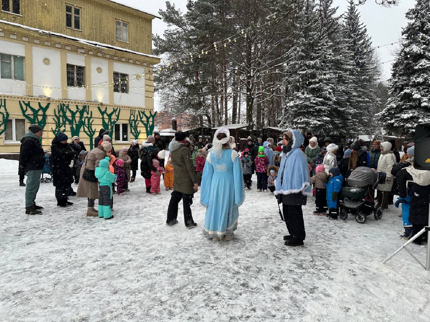 парки, парки домодедово, новый год,