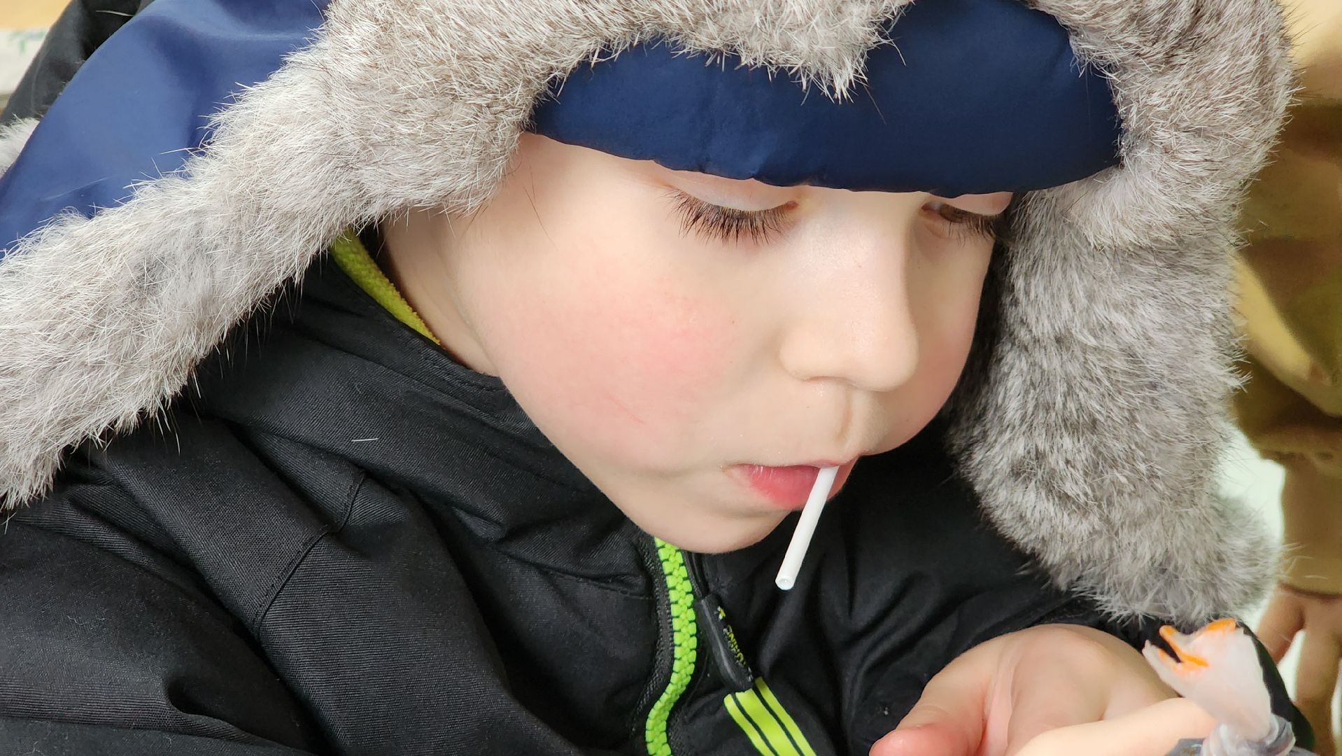 ступино, парки баранки, зима в подмосковье, парки подмосковья,