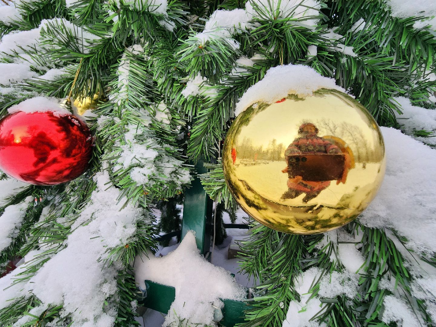 фрязино, лесопарк, зимние забавы, зима в парках, лыжи, кормушки, вертикалки,