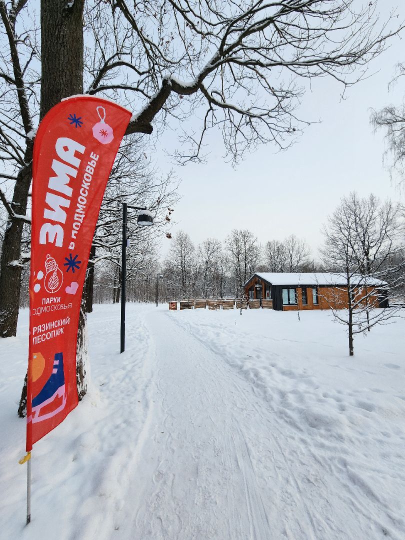 фрязино, лесопарк, зимние забавы, зима в парках, лыжи, кормушки, вертикалки,