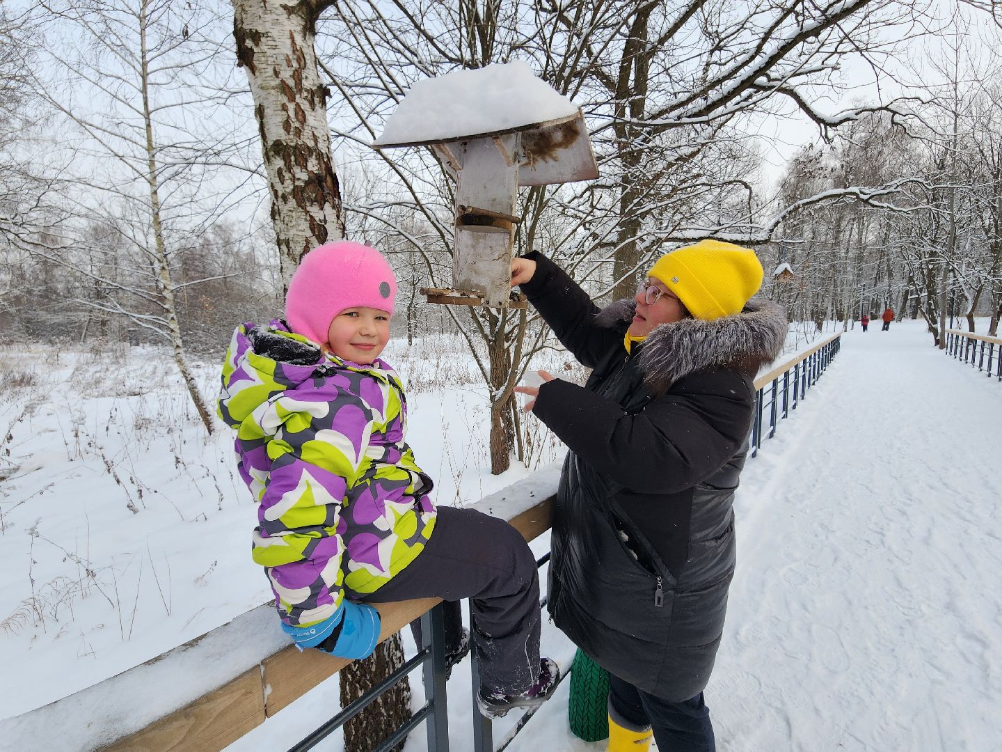 фрязино, лесопарк, зимние забавы, зима в парках, лыжи, кормушки, вертикалки,
