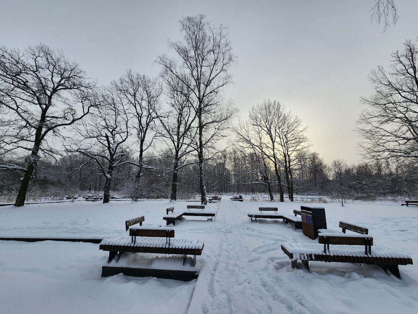 фрязино, лесопарк, зимние забавы, зима в парках, лыжи, кормушки, вертикалки,