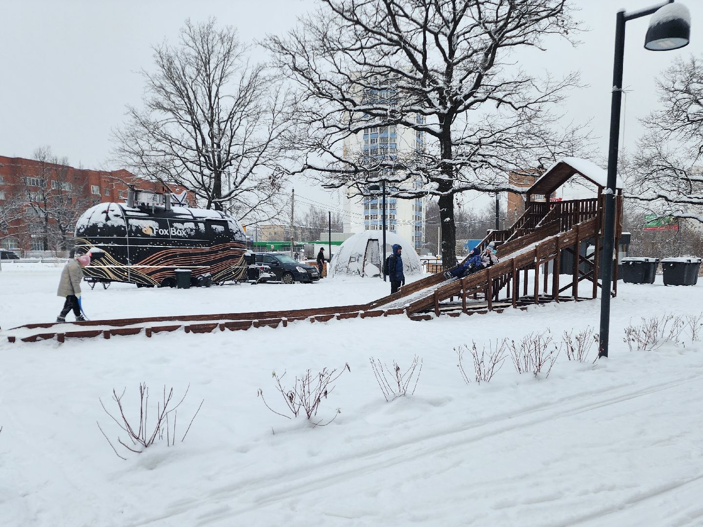 фрязино, лесопарк, зимние забавы, зима в парках, лыжи, кормушки, вертикалки,