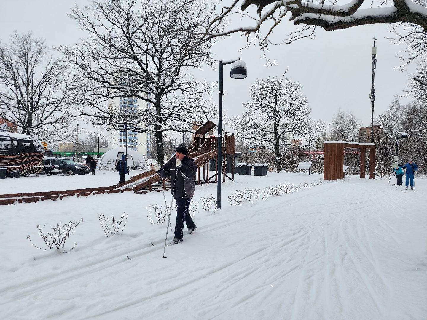 фрязино, лесопарк, зимние забавы, зима в парках, лыжи, кормушки, вертикалки,